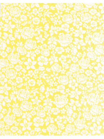 Papier Lokta Imprimés - Ombrelle - La Collection Népalaise - Artemio