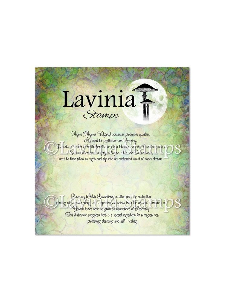 Thyme & Rosemary Words - Tampon clear - Collection "Herbes & Dreams" - Lavinia