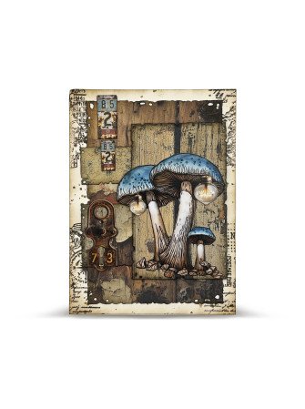 Pack de papiers imprimés A4 - Echoes of Yesteryear - Collection "Distressed" - 25 - Aall & Create
