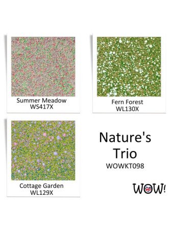 Trio Nature's  : poudre embossage - Wow