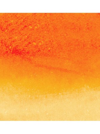 Mandarine Orange - 702 - Clean Color Real Brush - Kuretake