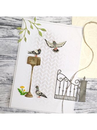 Pigeons - Dies - Gummiapan