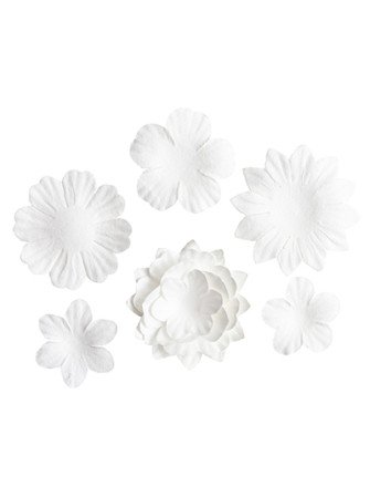 Fleurs blanches en papier - Studio Light