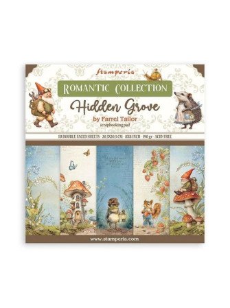 Pack papiers 20 x 20 cm -...