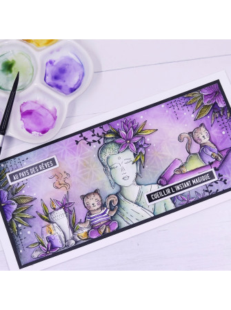 Tampon clear - Les chatons yoga - Collection "Vibrations" - Chou & Flowers