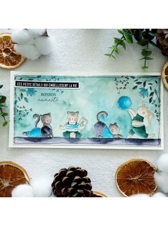 Tampon clear - Les chatons yoga - Collection "Vibrations" - Chou & Flowers