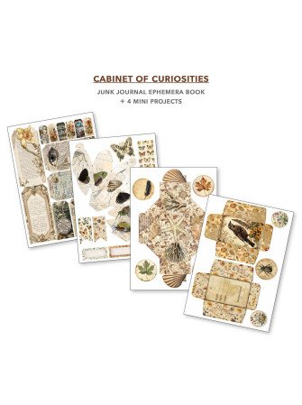 Junk Journal & Ephemera Book - Cabinet of Curiosities - Ciao Bella