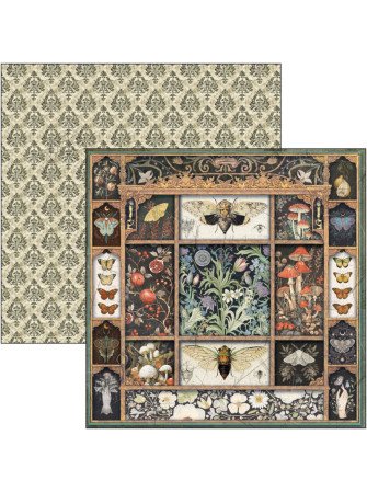 Pack papiers 20 x 20 cm - Collection "Cabinet of Curiosities"- Ciao Bella