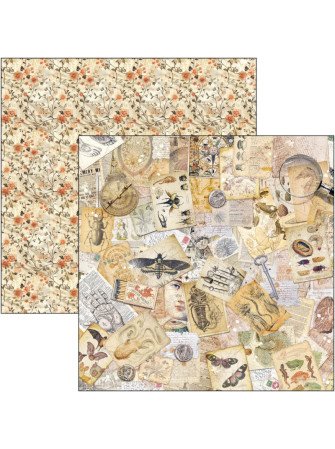 Pack papiers 20 x 20 cm - Collection "Cabinet of Curiosities"- Ciao Bella