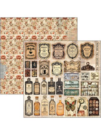 Pack papiers 20 x 20 cm - Collection "Cabinet of Curiosities"- Ciao Bella