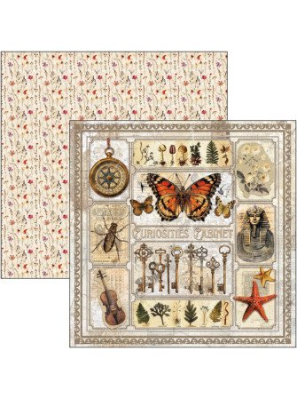 Pack papiers 20 x 20 cm - Collection "Cabinet of Curiosities"- Ciao Bella