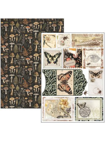 Pack papiers A4 - Collection "Cabinet of Curiosities" - Ciao Bella
