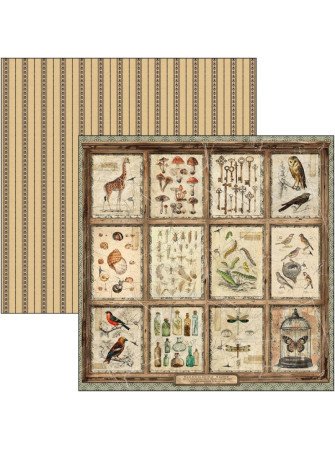 Pack papiers patterns - Collection "Cabinet of Curiosities" - Ciao Bella