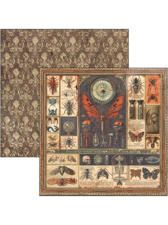 Pack papiers - Collection "Cabinet of Curiosities" - Ciao Bella