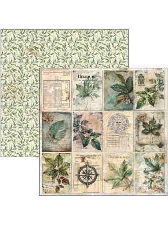 Pack papiers - Collection "Cabinet of Curiosities" - Ciao Bella