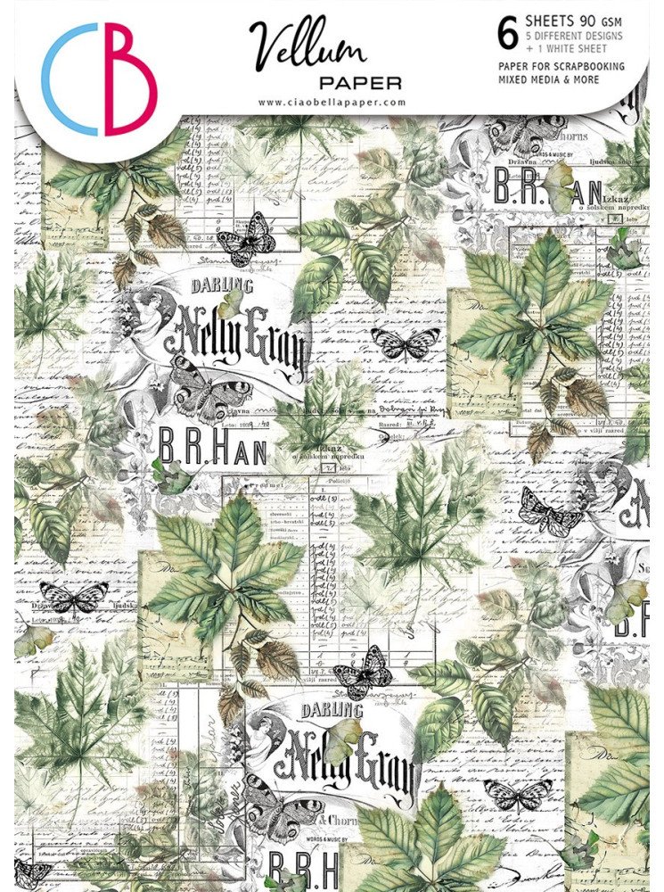Papier Vellum imprimé A4 - Collection "Cabinet of Curiosities" - Ciao Bella