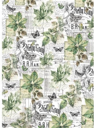 Papier Vellum imprimé A4 - Collection "Cabinet of Curiosities" - Ciao Bella
