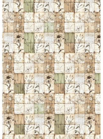Papier Vellum imprimé A4 - Collection "Cabinet of Curiosities" - Ciao Bella