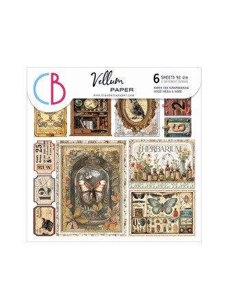 Pack papiers vellum 15 x 15...