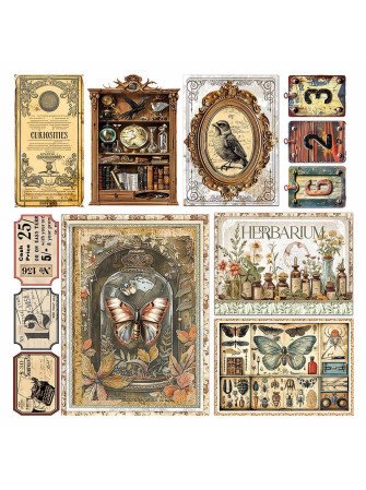 Pack papiers vellum 15 x 15 cm - Collection "Cabinet of Curiosities" - Ciao Bella