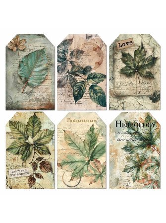 Pack papiers vellum 15 x 15 cm - Collection "Cabinet of Curiosities" - Ciao Bella