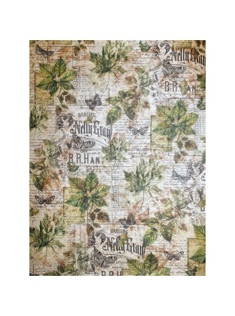 Pack de papiers Deluxe cuivrés A4 - Collection "Cabinet of Curiosities"  - Ciao Bella