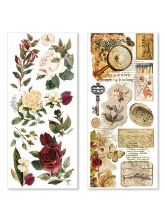 Stickers - collection "Cabinet of Curiosities" - Ciao Bella