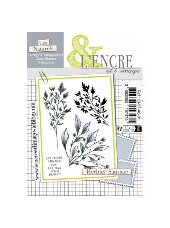 Herbier Sauvage - Tampon...