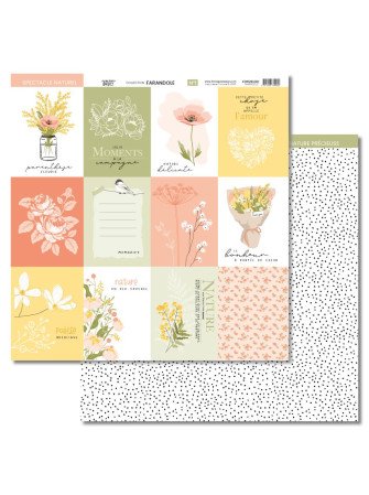 Pack papiers imprimés - Collection "Farandole" - Florilèges