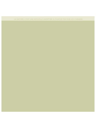 Papier Uni - Duo vert amande  - Collection "Farandole" - Florilèges