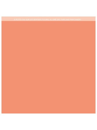 Papier Uni - Duo corail  - Collection "Farandole" - Florilèges