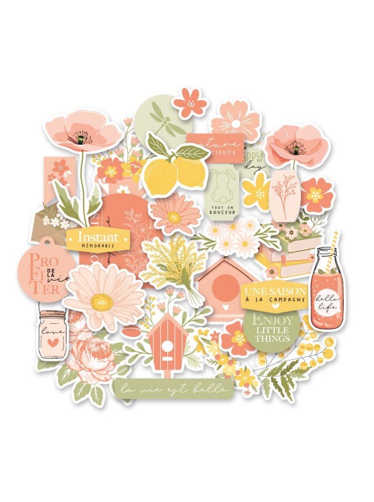 Die cut - Collection "Farandole" - Florilèges Design