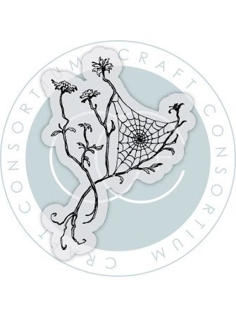 Web - Tampon clear -...