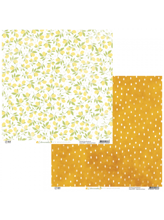 Pack papiers - Collection "Citronnade" - HA PI Little Fox
