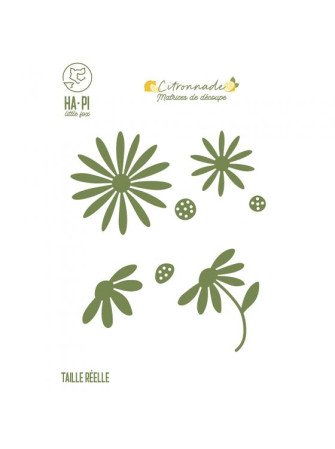 Marguerites - Collection...