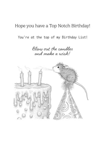 Tampon cling - Top Notch Birthday - Collection "House-Mouse" - Spellbinders