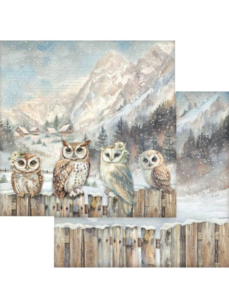 Pack papiers  - Collection "The Owl's House" - Stamperia
