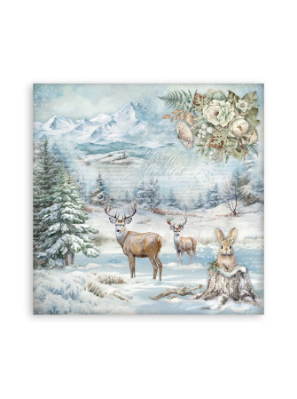 Maxi Pack papiers  - Collection "The Owl's House" - Stamperia