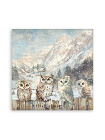 Maxi Pack papiers  - Collection "The Owl's House" - Stamperia