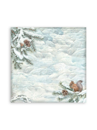 Maxi Pack papiers  - Collection "The Owl's House" - Stamperia