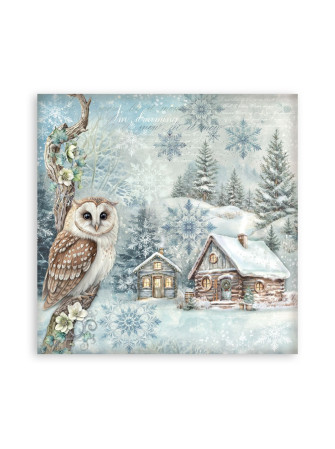 Maxi Pack papiers 20 x 20 cm - Collection "The Owl's House" - Stamperia