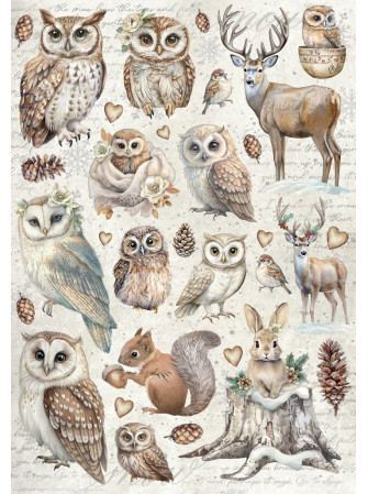 Junk Journal - The Owl's House - Stamperia