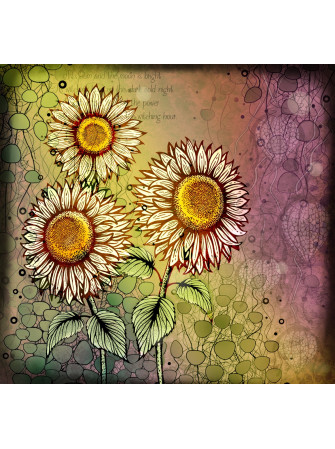 Open Sunflower - Tampon clear - Collection "Twilight Tea" -  Lavinia