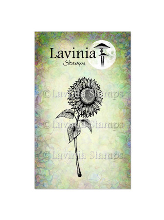 Sunflower 1 - Tampon clear...