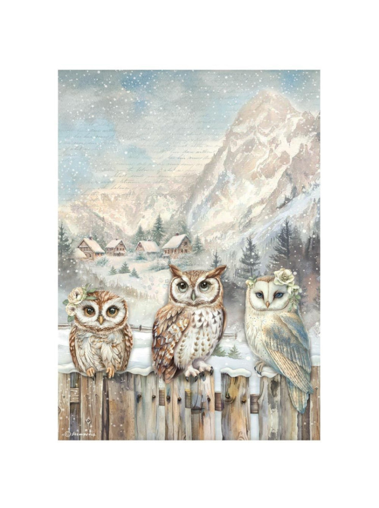 Feuille de riz - Collection "The Owl's House" -  Stamperia