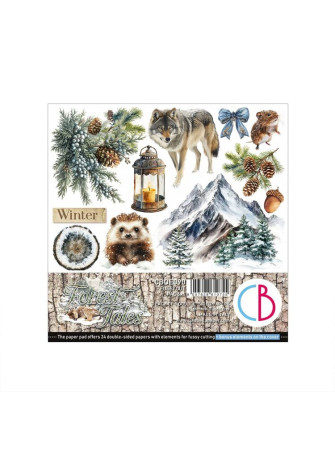 Pack papiers 15 x 15 cm -...