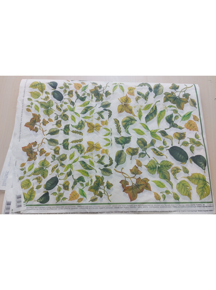 Papier de découpage - Feuilles - Rayher
