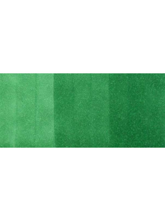 Forest Green - G17 - Marqueur à alcool - Copic Ciao