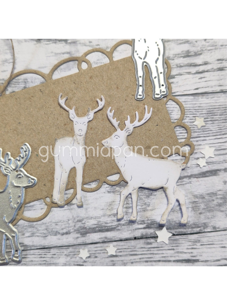 Rennes - Dies - Gummiapan