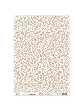 Pack calques - collection "Harmonie" - Florilèges Design